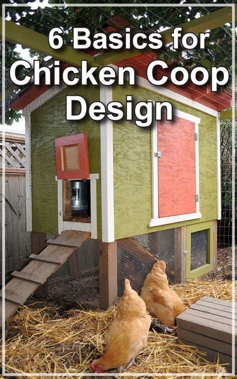 6 Basics For Chicken Coop Design Backyard Poultry Magazine Chicken