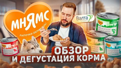 Влажный корм Мнямс | Обзор корма и дегустация | Консервы для собак ...