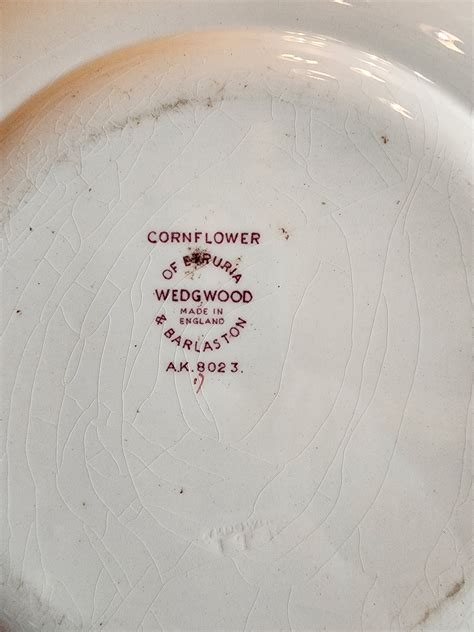 Vintage Wedgewood Of Etruria And Barlaston Cornflower Bread Etsy