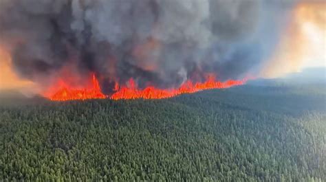 Cambio Climático Multiplicó Riesgo De Incendios En Canadá Revela