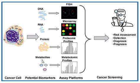 Pharmaceutics Free Full Text Biomarkers As Biomedical Bioindicators