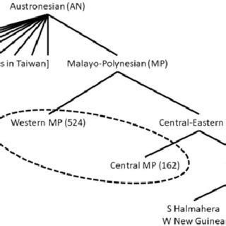 More commonly accepted Malayo-Polynesian branching where branches in ...