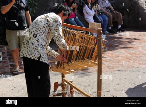 Man Playing The Angklung Instrument From Indonesia Stock Photo Alamy