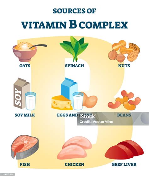 Sumber Vitamin B Kompleks Dengan Label Daftar Contoh Nutrisi Makanan