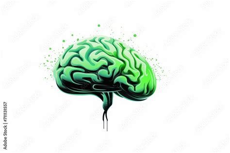 Radiographic Human Brain Tumors Glioma Meningioma Astrocytoma