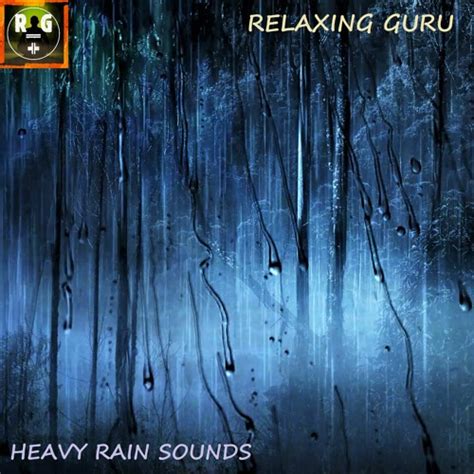 Stream Heavy Rain Sounds in a Forest at Night | Downpour Rain On Leaves ...