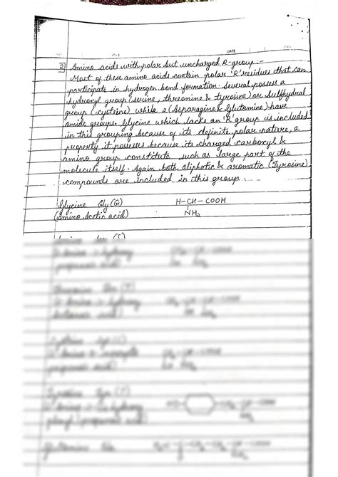 SOLUTION Biomolecules And Dna Synthetesis Studypool