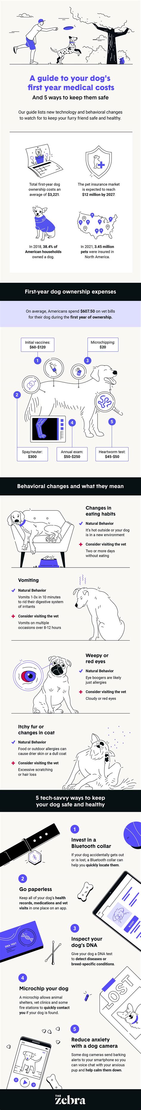 Average Cost Of A Vet Visit For Dogs Must Know Facts And Figures