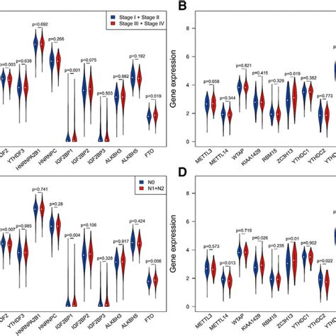 The 19 M6a Rna Modification Regulators Correlated With Download