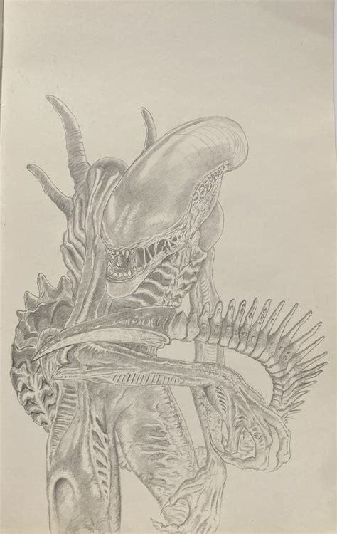 ArtStation - Xenomorph Pencil Drawing