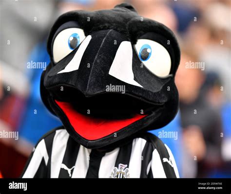 Newcastle United mascot Monty Magpie Stock Photo - Alamy