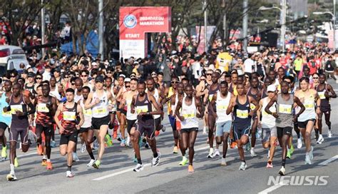 2024 대구국제마라톤대회 네이트 뉴스