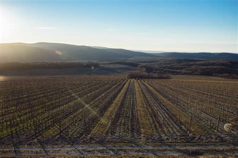 «Галицкий и Галицкий» — официальный сайт винодельни Galitskiy ...