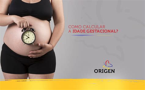 Como calcular a idade gestacional Clínica Origen Fertilização in Vitro