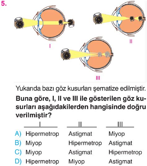 Online Test Çöz 7 Sınıf Fen Bilimleri Duyu Organları Testi Çöz