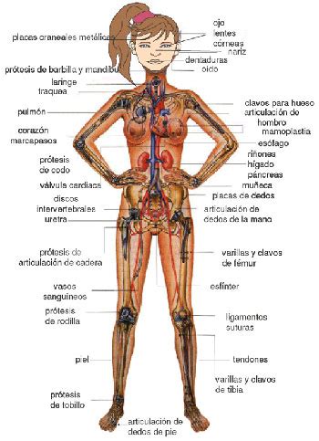 Biomateriales Saberes Y Ciencias