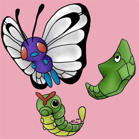 Caterpie Metapod Butterfree