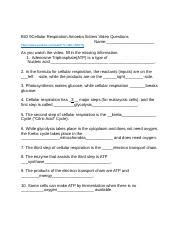 Amoeba Sister's Cellular Respiration Youtube Worksheet.docx - BIO ...