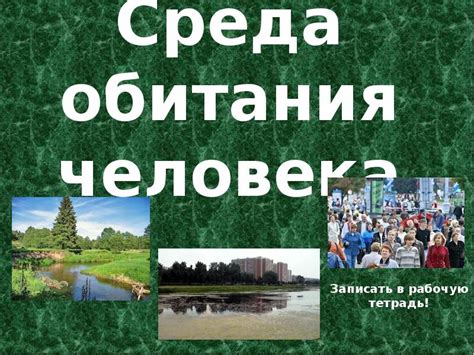 Среда обитания человека