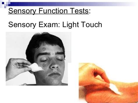 Neurological Assessment Sp07 Webversion