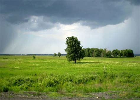 Дождь надвигается | Пикабу