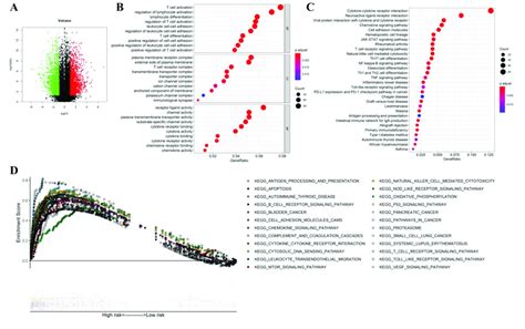 Independent Prognostic Analysis Of The Riskscore Combined With The