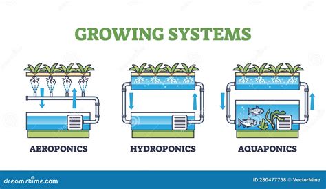 Aquaponics Hydroponics And Aeroponics As Growing Systems Outline