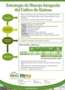 Manejo Integrado y Produccion de la Quinua Fundación PROINPA