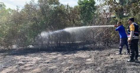 Lahan Gambut Di Aceh Besar Terbakar