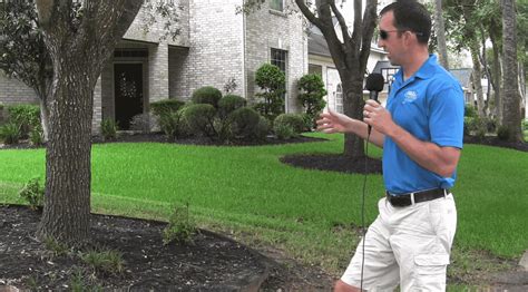 How to Grow Shade Grass in Houston Lawns - Pearland Sugar Land Katy