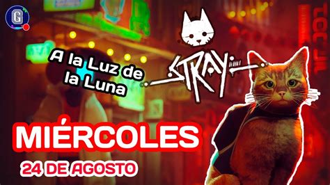 Nueva Serie Stray 1 Primera Reacción Reacción al Iceberg de