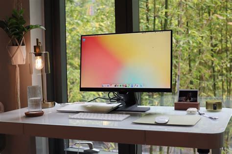 Serene Standing Desk Setup