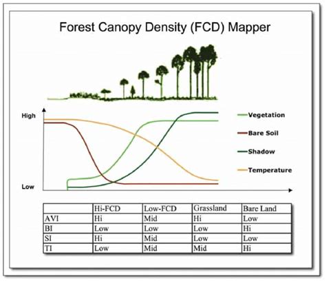 The Characteristics Of Four Prime Indices Of Forest Condition As