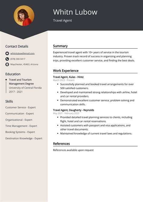 Travel Agent CV Examples Template 20 Tips