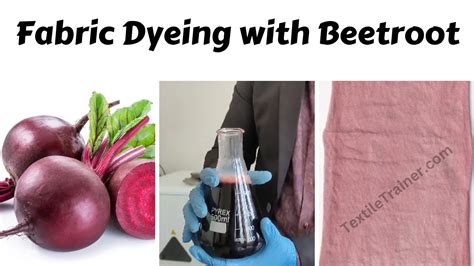 Fabric Dyeing with Beetroot: 4 Easy Step with Image - Textile Trainer