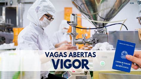 Vigor Alimentos Abre Processo Seletivo Novas Vagas De Emprego