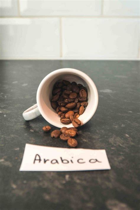 Arabica vs. Robusta: What’s the Difference?