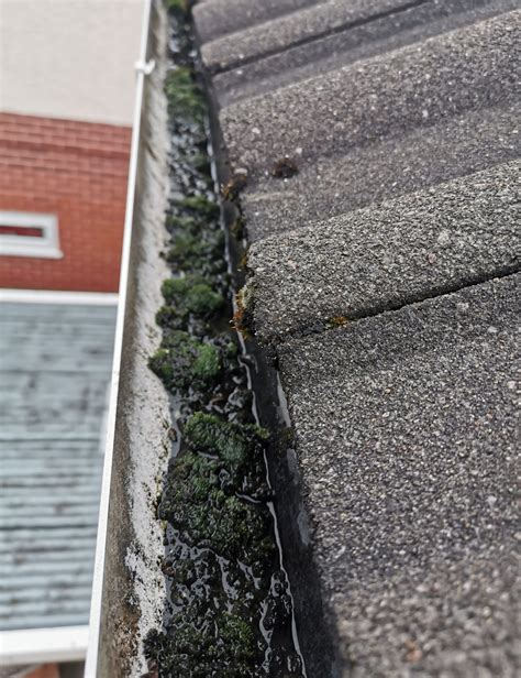 Clogged Gutters Gutter Cleaning Services