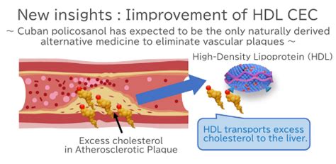 LipoSEARCHNew Research ArticleQualitative Improvement Of HDL