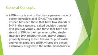 DNA VIRUS.pptx