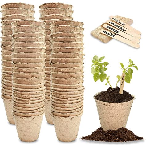 Buy Green Thumbz 50 Pack Cardboard Seed Pots 6cm Small Seedling Pots