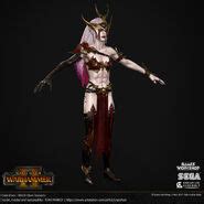 Witch Elves | Warhammer Wiki | Fandom