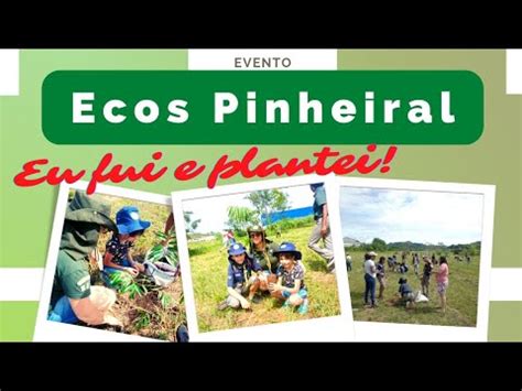 Como Recuperar Uma Rea Degradada Fui Na Ecos Pinheiral E Plantei Uma