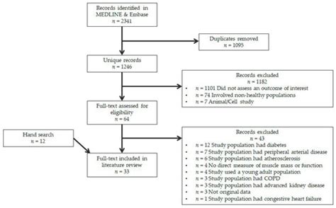 Nutrients Free Full Text Exploring The Association Between Vascular