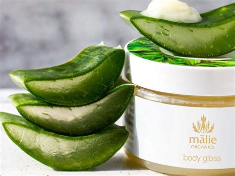 Why Vegan Skin Care is the Best Choice for Your Beauty Needs - Malie