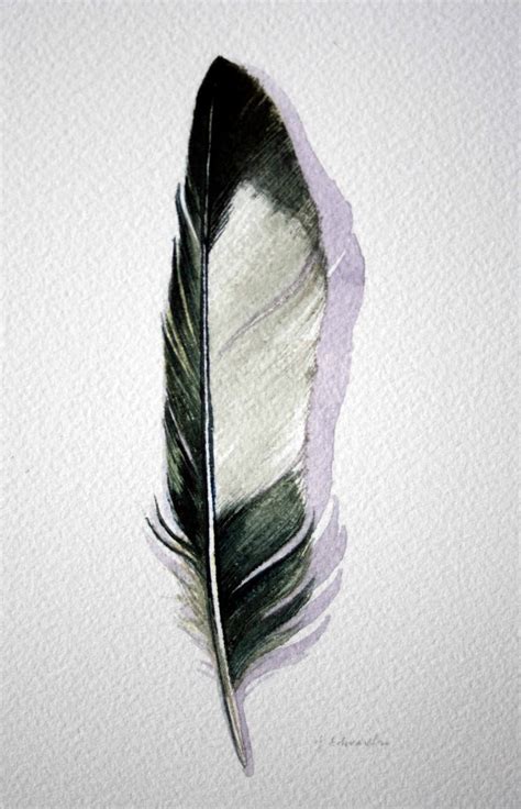 Original Watercolor Feather Study 168 Magpie Feather From