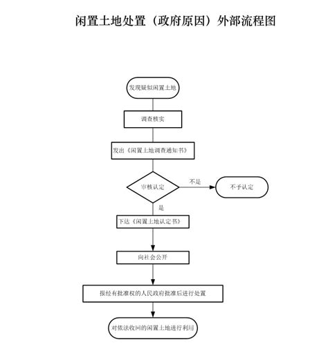 闲置土地处置（政府原因）