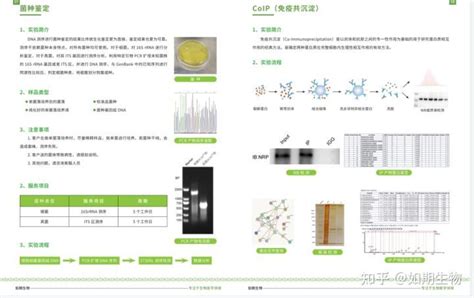 Luminex液相芯片细胞因子检测实验技术腾讯新闻