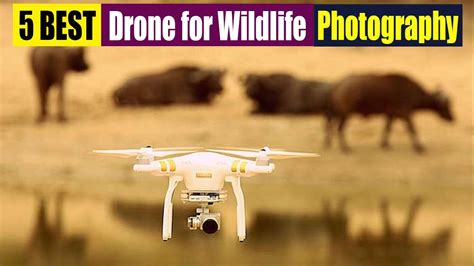 Best Drone For Wildlife Photography Top Reviews In Youtube