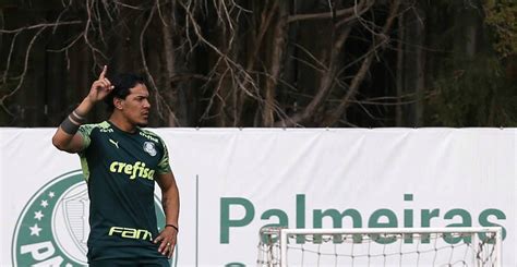 Renovação de contrato Palmeiras e Gómez chegam a acordo MS Notícias